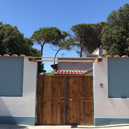 Appartamento Viareggina con giardino Marina Di Pisa Esterno foto